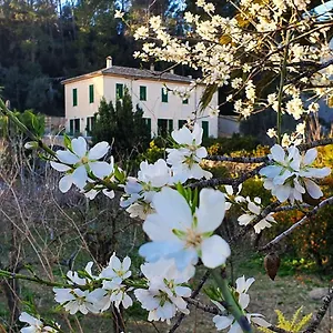  Landhaus Sa Maniga Spanien
